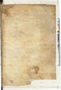 ACMo O.II.11 - pag. 299r