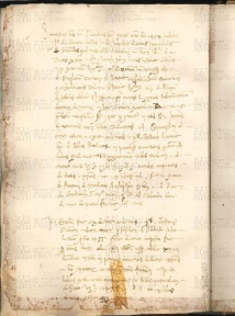 ACMo O.V.32 - pag. 101v