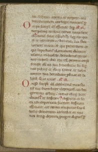 046v