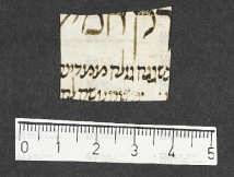 Pergamene ebraiche ACMO 1-103, App. 1-3 - pag. 17.7a