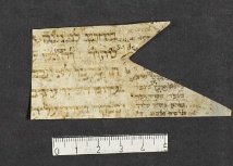 Pergamene ebraiche ACMO 1-103, App. 1-3 - pag. 24.1b