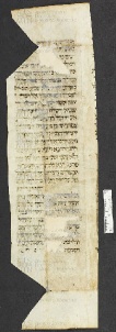 Pergamene ebraiche ACMO 1-103, App. 1-3 - pag. 29.2b