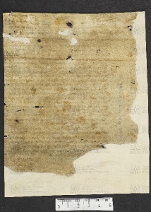 Pergamene ebraiche ACMO 1-103, App. 1-3 - pag. 39.4b