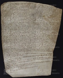 34 B.11.XXXIVr, Donazione fatta da Norberto e da sua moglie Azza da Modena a favore di Ingone vescovo, Modena, 1025, giu.