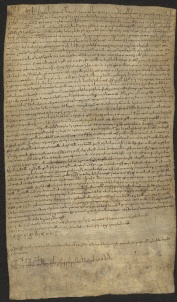 152 C.14.CLIIr, Investitura fatta da Eriberto vescovo a favore di Ingelberto e di Ingelbaldo e Sigenzo fratelli, Cittanova, 1056, giu. 5