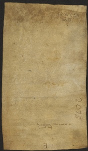 152 C.14.CLIIv, Investitura fatta da Eriberto vescovo a favore di Ingelberto e di Ingelbaldo e Sigenzo fratelli, Cittanova, 1056, giu. 5