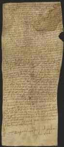 141 C.12.CXLIr, Donazione fatta da Auria da Bologna, a favore di Wiberto vescovo, Bologna, 1051, ott. 28