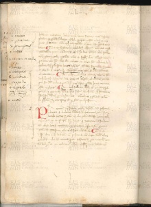 ACMo O.V.32 - pag. 011v