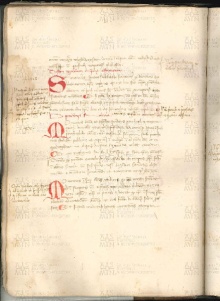 ACMo O.V.32 - pag. 019v
