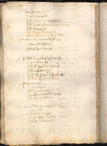 ACMo O.V.32 - pag. 110v