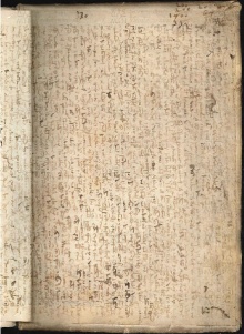 ACMo O.V.32 - pag. contropiatto posteriore