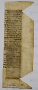 Pergamene ebraiche ACAMO 2-63, s.s - 29.2a
