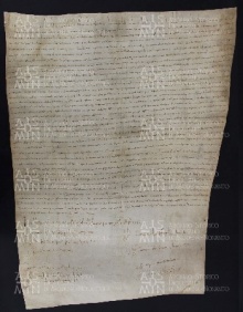 22 B.9.XXIIr, Ratificazione della donazione fatta da Rainardo e da Raza sua moglie, alla presenza dei giudici del Sacro Palazzo, Pavia, 1018, ott. 23