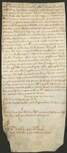 123 D.23.CXVr, Locazione fatta dai coniugi Cucolino e Burga a favore di Giovanni Bono, Modena, 1141, giu. 7