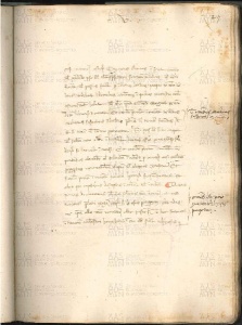 ACMo O.V.32 - pag. 049r