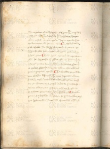 ACMo O.V.32 - pag. 067v