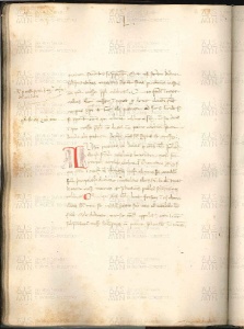 ACMo O.V.32 - pag. 088v