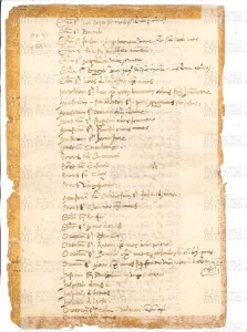 ACMo O.V.32 - pag. 109v