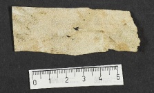 Pergamene ebraiche ACMO 1-103, App. 1-3 - pag. 63.5b