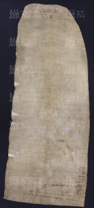 4 B.5.IVv, Investitura fatta da Varino vescovo a favore di Daiberto e Lintefredo da Cittanova, Cittanova, 1003, lug. 29