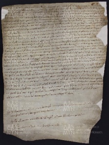 74 B.19.LXXIVr, Locazione fatta da Ingone vescovo a favore di Andrea, Domenico, Martino e alcuni altri da Saliceto, Modena, 1033, gen. 13
