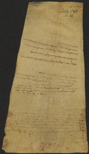 108 C.5.CVIIIv, Donazione fatta da Martino prete da Bazovara e da Assemberto da Montebaranzone alla Chiesa di Modena, Modena, 1037, apr. 25