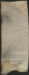 28  D.5.XXVr, Investitura fatta da Dodone vescovo a favore di Roberto Petroniani da Bazovara, 1112, mar. 15