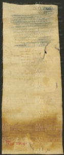 145 E.1.CXXXIv, Donazione e conferma di alcuni beni fatta da Ribaldo vescovo a favore della chiesa di Sant'Agnese di Ravenna, Ravenna, 1146, apr. 30