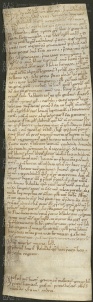 146 E.1.CXXXIIr, Investitura fatta da Ribaldo vescovo a favore di Guiberto, Bernardo, Alberto e Pietro de' Fanti da Montale, Modena, 1146