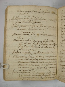 O.VI.1 Viste Pastorali 1575-1577 - pag. 113v Casinalbo 1576