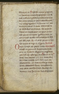 028v