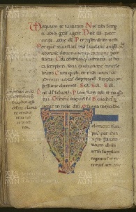 099v