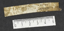 Pergamene ebraiche ACMO 1-103, App. 1-3 - pag. 35.3b