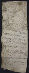 35 B.3.XXXVr, Investitura fatta da Giovanni vescovo a favore di Martino da Saliceto, Modena, 995, giu. 10