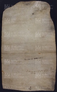 62 B.17.LXIIv, Investitura fatta da Ingone vescovo a favore di Martino, di Silverio e di Roza, Modena, 1030, apr. 4
