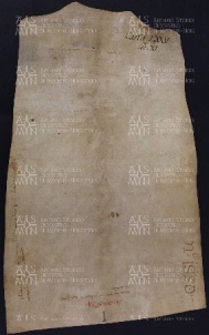 75 B.19. LXXVv, Concessione fatta da Ingone vescovo a Martino e Giovanni da Saliceto, Modena, 1033, gen. 10