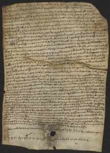 155 C.14.CLVr, Investitura fatta da Eriberto vescovo a favore di Sigizo, Obiezo e Ingelberto da Cuspiano, Cuspiano, 1057, feb. 22