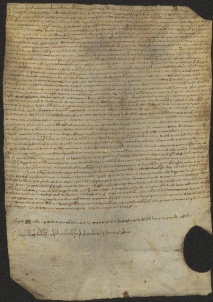 205 C.24.CCVr, Investitura fatta da Eriberto vescovo a favore di Giovanni Domenico e Liuzo da Cittanova, Modena, 1077, giu. 18