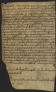 206 C.25.CCVIr, Donazione fatta da Giovanni, da Ingeza sua moglie e da alcuni altri a favore di Eriberto vescovo, Mugnano, 1078, feb. 20