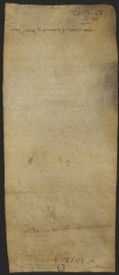 113 D.21.CVv, Investitura fatta da Ribaldo vescovo a favore di Pietro, Giovanni e alcuni altri, Modena, 1140, feb. 7