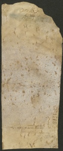 116 D.22.CVIIIv, Originale della pergamena precedente, Modena, 1141, nov. 30