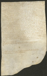 117 D.22.CIX.r, Investitura fatta da Ribaldo vescovo a favore di Giovanni e Martino, Modena, 1141,nov. 18
