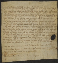 53 D.10.XLIXr, Investitura fatta da Dodone vescovo a favore di Sigefredo, Clagnano, 1123, feb.