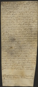 99 D.19.XCIr, Investitura fatta da Ribaldo vescovo a favore di Baldoino, di Giovanni e di alcuni altri, Modena, 1137, mar. 15