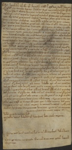 104 D.20.XCVIr, Investitura fatta da Ribaldo vescovo a favore di Donino da Bazovara, Modena, 1137, feb. 11