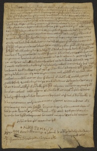 215 C.26.CCXVr, Investitura fatta da Alberto di Guido del contado di Reggio, a favore di Ricardo, Lupicini e di altri, Monterone, 1081, feb. 13