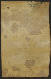 215 C.26.CCXVv, Investitura fatta da Alberto di Guido del contado di Reggio, a favore di Ricardo, Lupicini e di altri, Monterone, 1081, feb. 13
