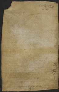 76 D.15.LXXIv, Rinnovazione d'investitura fatta da Dodone vescovo a favore di Pietro da Saliceto, Modena, 1128, giu. 22