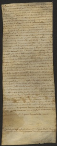 50 D.10.XLVIr, Investitura fatta da Dodone vescovo a favore di Sigezo da Balugola e alcuni altri, Modena, 1122, ott. 13