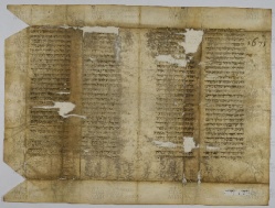 Pergamene ebraiche ACAMO 2-63, s.s - 29b